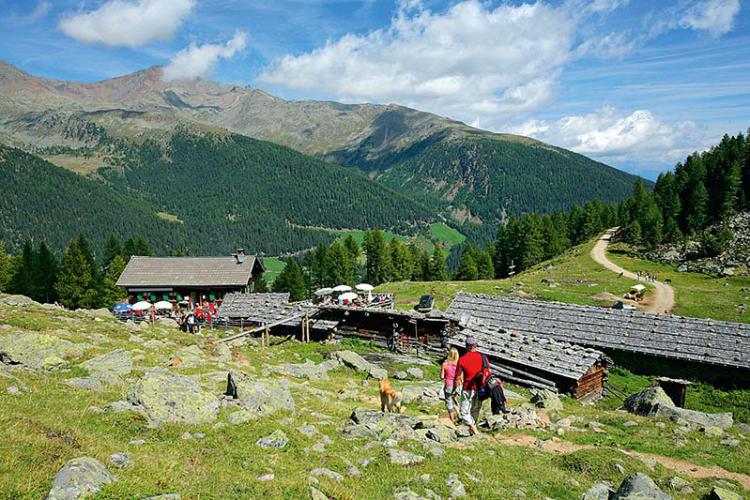 Malga Fiechtalm in val d'Ultimo